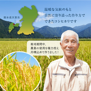 S050-008A_【令和7年産】コシヒカリ 玄米 5kg