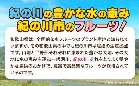 【先行予約】紀の川市不知火 まーくん家の不知火 約5kg きただ農園まーくん家《2027年2月末-3月下旬頃出荷》和歌山県 紀の川市 柑橘 化学肥料・除草剤不使用 しらぬい