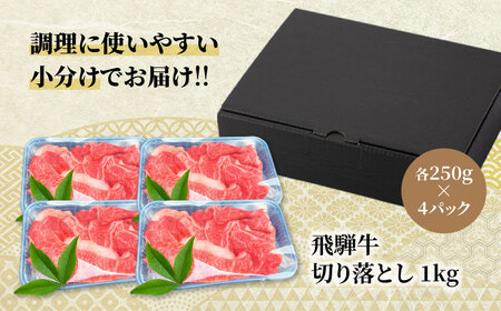 飛騨牛切り落とし 1kg(250g×4)  A5飛騨牛【マルゴー】[MBE003]切り落とし