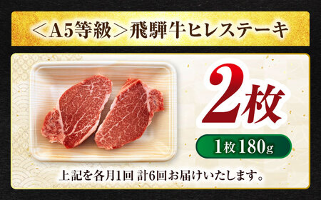 【6回定期便】飛騨牛 ヒレステーキ 180g×2枚【マルゴー】霜降り レア 冷凍[MBE009]