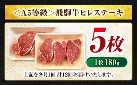 【12回定期便】飛騨牛 ヒレステーキ 180g×5枚【マルゴー】牛肉 霜降り ステーキ[MBE015]
