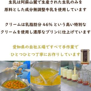 なめらかぷりん6個【プレーン6個セット】【プリン なめらか 詰め合わせ  濃厚こだわり プレーン スイーツ  お菓子 デザート ギフト お取り寄せ 愛知県 長久手市 AV001】