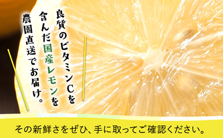 ノーワックス 観音山レモン 2kg