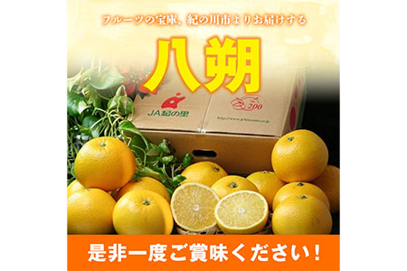 【先行予約】八朔 約5kg(3L-Lサイズ)JAわかやま 紀の里地域本部 《2027年1月上旬-3月末頃出荷》 和歌山県 紀の川市 果物 フルーツ 柑橘 はっさく