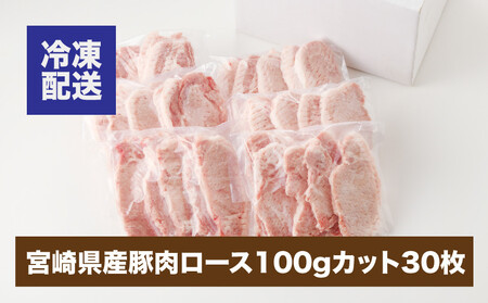 贅沢宮崎県産豚肉ロース100gカット30枚_K16_0018_3