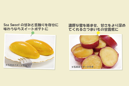  【先行予約】 大洗産 さつまいも 紅はるか 2.5kg （8本前後） 「Sea Sweet」 長期熟成 茨城県産 サツマイモ 土付き 生芋 芋 さつま芋 薩摩芋 甘藷 べにはるか_CF002