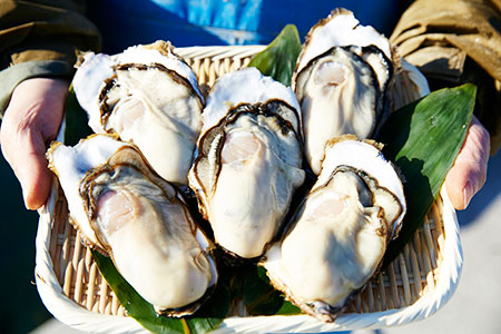 【定期便/年8回】リピーター多数！味に自信の定期便②【合計9種類】 RT1810