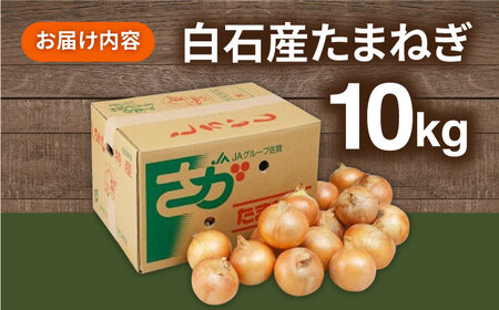【2026年5月中旬以降発送】白石産たまねぎ 10kg / たまねぎ 玉ねぎ [IAK011]
