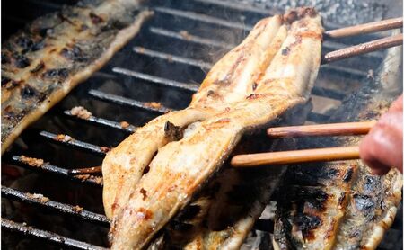 かけはし 創業40年 全てが職人による手焼き うなぎの白焼き 4尾 鰻 