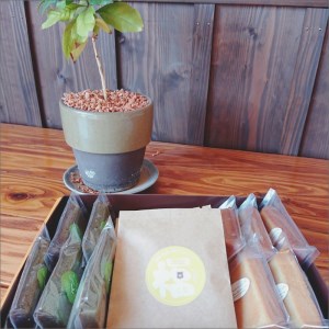 自家焙煎珈琲とフィナンシェセット( こだわり マドレーヌ コーヒー 自家焙煎 厳選 お菓子 )【B4-101】