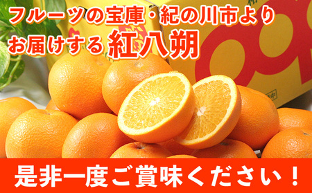 【先行予約】紅八朔(ポッポ) 1約0kg(3L-L) JAわかやま 紀の里地域本部 《2027年3月中旬-3月末頃出荷》 和歌山県 紀の川市 果物 フルーツ 柑橘 はっさく