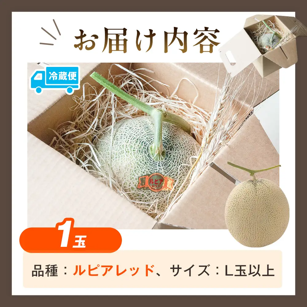 【R8年収穫分】【数量限定】さのさん家のメロン（L玉以上）１玉 湧き水栽培 さの農場 | 北海道津別町