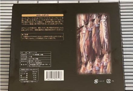 【釧路産】特選 本ししゃも 20尾セット ふるさと納税 ししゃも F4F-1450