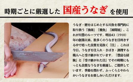 うなぎ 定期便 3ヵ月 川豊 上蒲焼 3人前 セット 蒲焼 うなぎの蒲焼 国産うなぎ 国産 真空パック 定期 3回