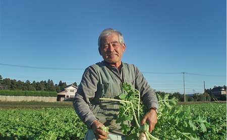おかげさま農場の野菜のおまかせセット（無化学農薬・肥料栽培） 詰合せ 季節の野菜 詰め合わせ 
