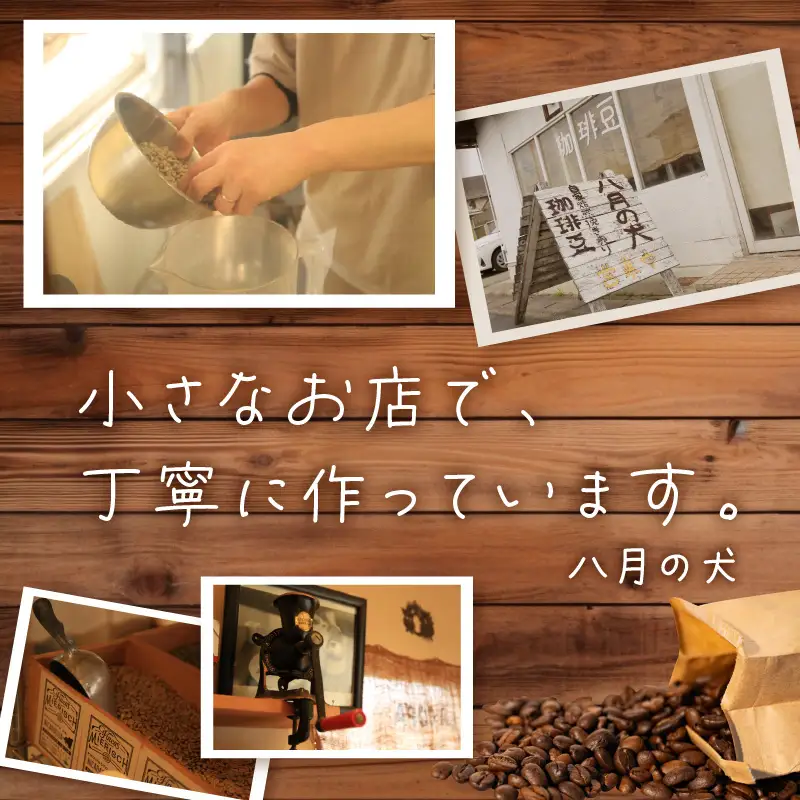 【八月の犬 コーヒー豆】 100gx3種飲み比べ | コーヒー豆