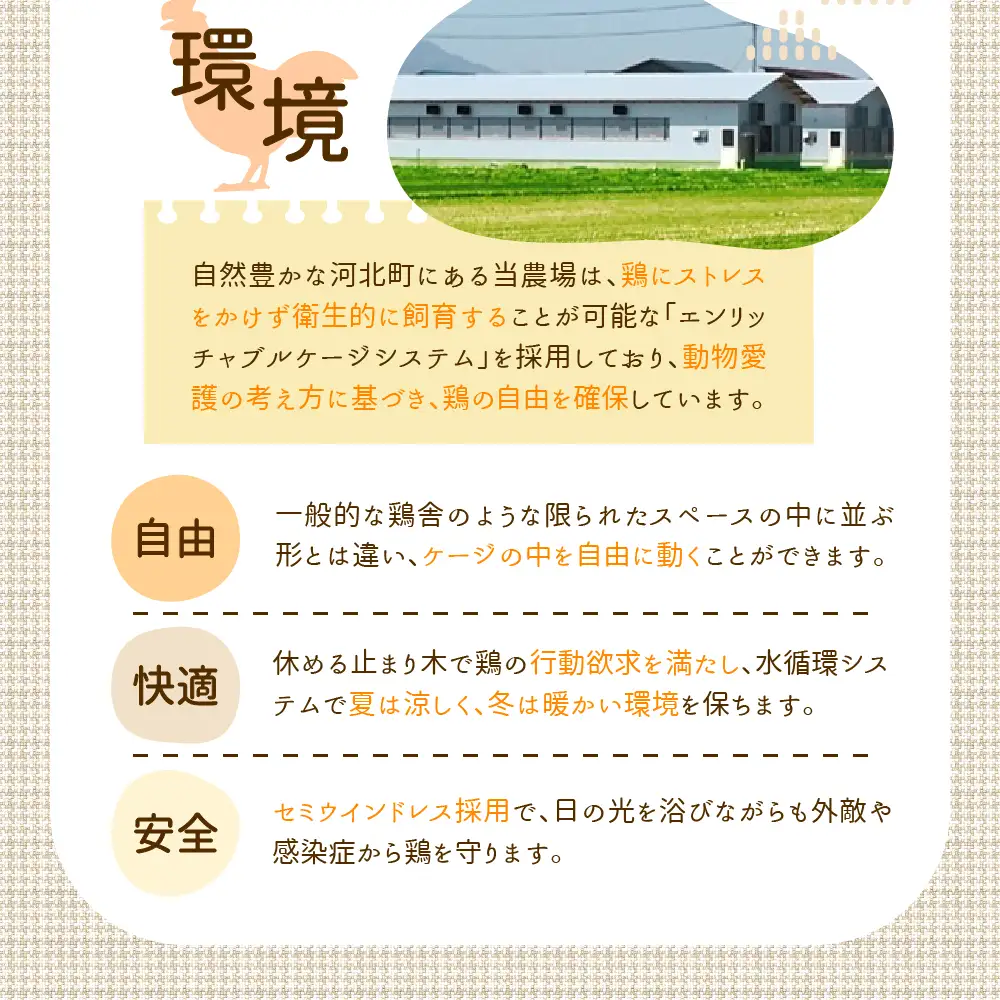 卵 50個 いではのもみじ 紅 ブランド卵 新鮮たまご 卵