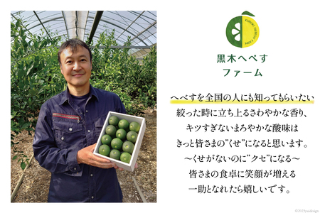 【期間限定発送】訳あり 旬を先取り 黒木へべすファーム自慢の《ハウス》 へべす 2kg [黒木へべすファーム 宮崎県 日向市 452060743]