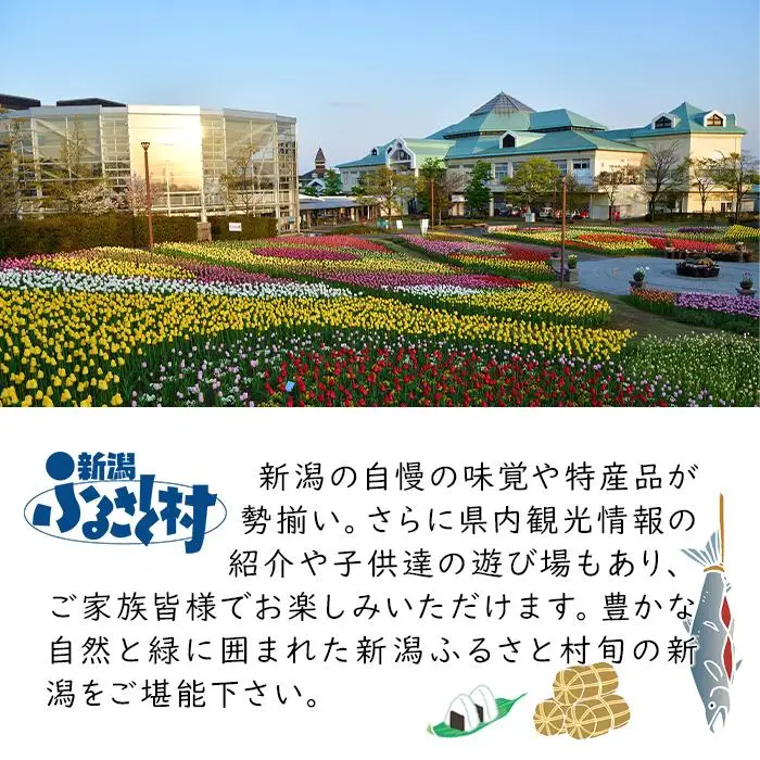 新潟発祥の郷土そば　布乃利(ふのり)へぎそば(200g×3)｜新潟　新潟県　そば　ご当地　お取り寄せ　グルメ　蕎麦　ソバ