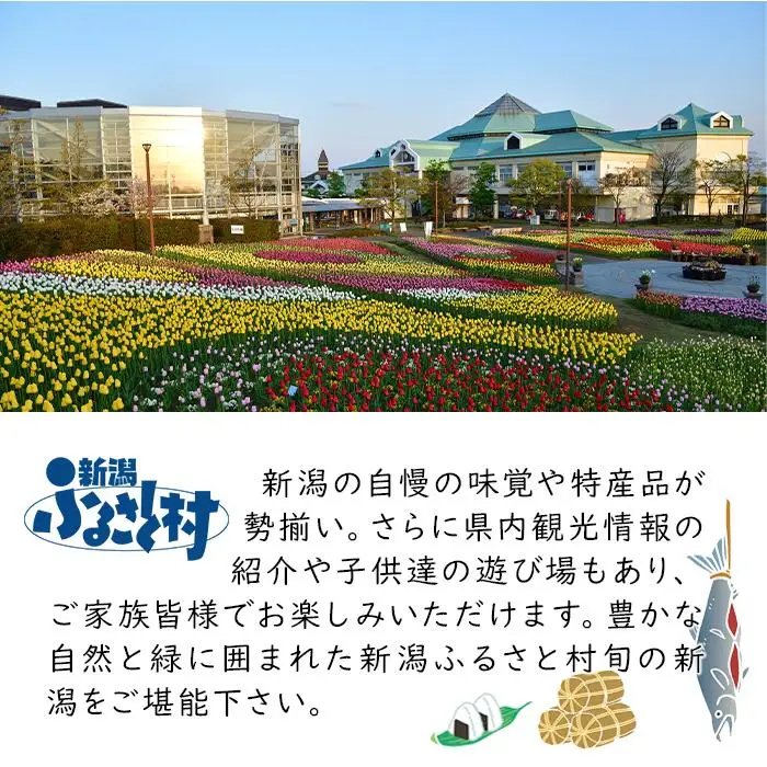【IH対応！】鉄製玉子焼き器