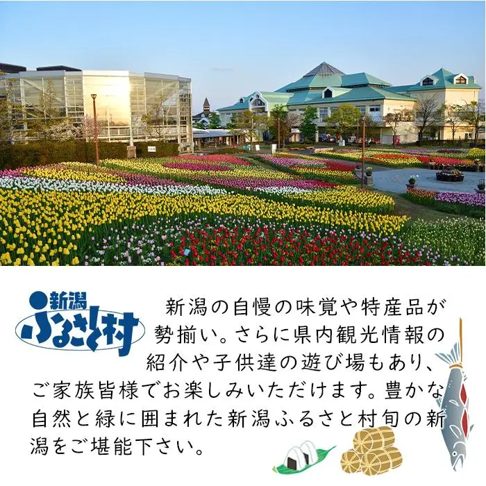 ジオ・プロダクト片手鍋（高さ１２cm 　横幅１７.８cm　 直径１６cm）
