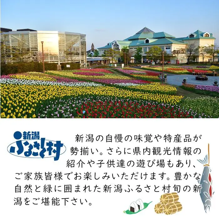 ★全国新酒鑑評会『金賞受賞』★ 本醸造・純米吟醸2本セット（雪中梅・〆張鶴）