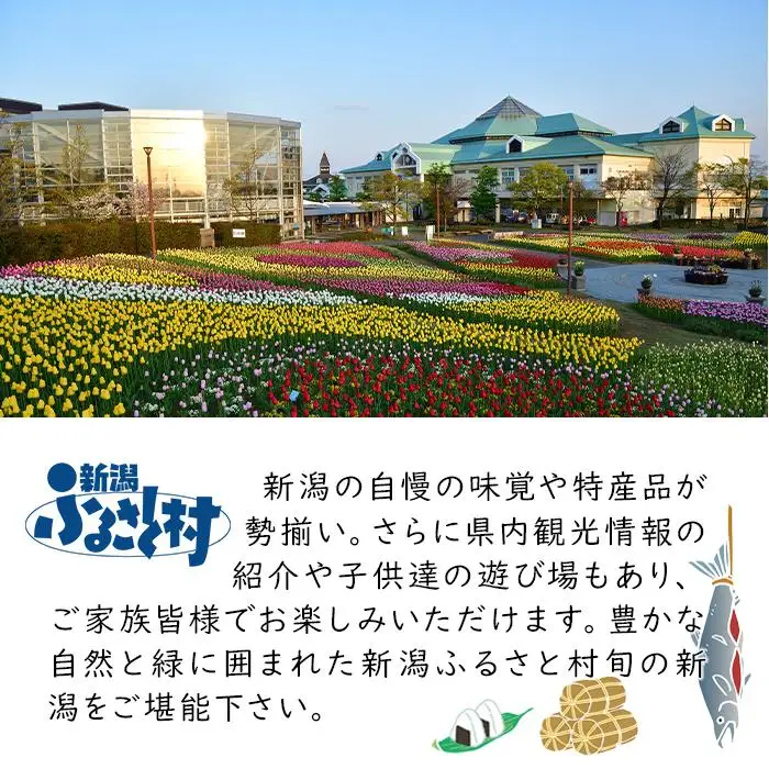 もちごめ最高峰使用☆杵つき新潟産こがね餅（570g×2袋）