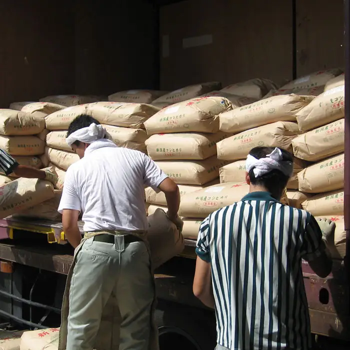 【令和7年産】新潟産コシヒカリ 特別栽培米 10kg（5kg×2袋） 精米 白米