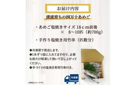 【予約受付】子どもが喜ぶバーベキュー！清流育ちの四万十あめご （約700g）【BBQ専用竹串付き】 おつまみ バーベキュー BBQ アウトドア アメゴ アマゴ  魚 魚介 川魚 塩焼き 小分け あまご あめご 冷凍 8～10匹 個包装 ／Eay-01 ﾊﾞｰﾍﾞｷｭｰ 