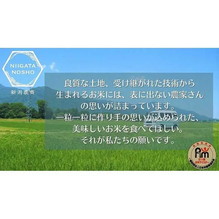 新潟県産虹の煌めき　5kg　
