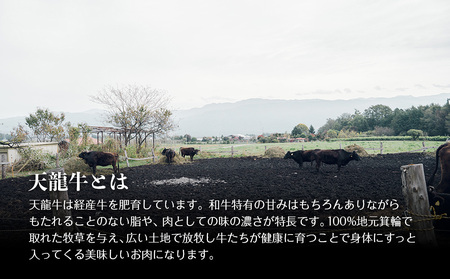 【希少な黒毛和牛】天龍牛フランク＆ソーセージセット ソーセージ 天龍牛 黒毛和牛 長野県産 信州産 お肉 国産 希少 お酒のつまみ 