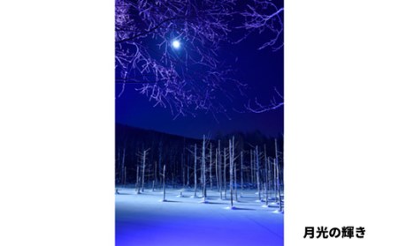 写真家　阿部俊一　額付き写真[120-06]