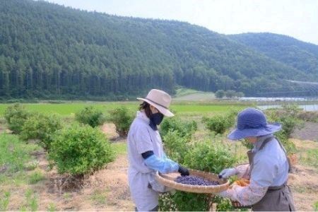 ジャム Hana la mom ハスカップジャムと野菜ジャム３本セットA [010-183]