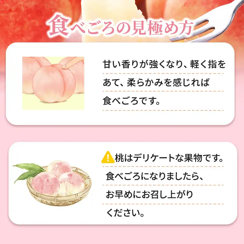 桃 先行予約 浅間水蜜桃 あかつき 約5kg 秀品 13～22玉 フルーツ 果物 白桃 白鳳 甘い 冷蔵