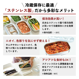 [ 真空フレッシュボックス L ] 真空ポンプ付き ステンレス製 保存容器 アサヒ軽金属