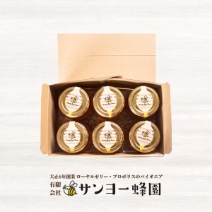 はちみつ 国産 蜂蜜漬け セット 570g( 95g×6種 ) 山口県産 下関 ES002-NT