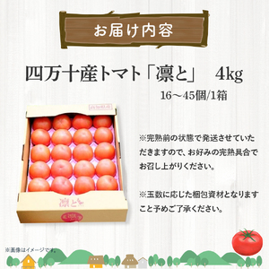 受付4か月で800件超え！四万十産トマト 「凛と」(4kg) ／ Fbg-A003 野菜 新鮮 完熟トマト