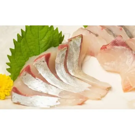 【 刺身定期便 】 刺身定期便6ヶ月