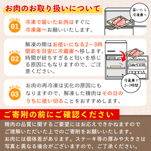 鹿児島県産 黒毛和牛 厚切り リブロース ステーキ (2枚 計800g)【ナンチク】B62-v01