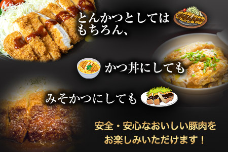まうごつうまかとんかつセット 1kg 清村養豚《60日以内に出荷予定(土日祝除く)》 ロース ヒレ 肩ロース とんかつ かつ丼 みそかつ 熊本県 御船町