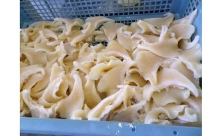 コラーゲン3900mg ふかひれラーメンと姿煮のセットＡ [中華高橋水産 宮城県 気仙沼市 20563465]