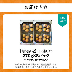 【期間限定】田ノ浦びわ 約2.16kg（270g×8パック） C07013
