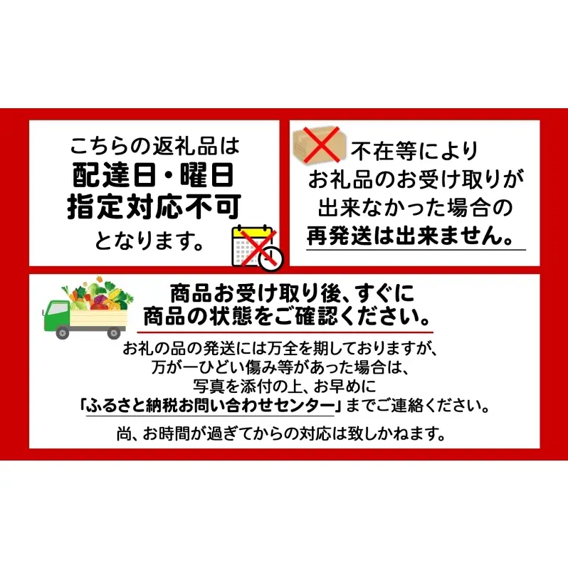 北海道 赤肉メロン 約1.6kg 2玉 メロン 赤肉 果物 フルーツ 甘い 完熟 スイーツ デザート 産直 国産 贈答品 お祝い ギフト羊蹄山 JAようてい