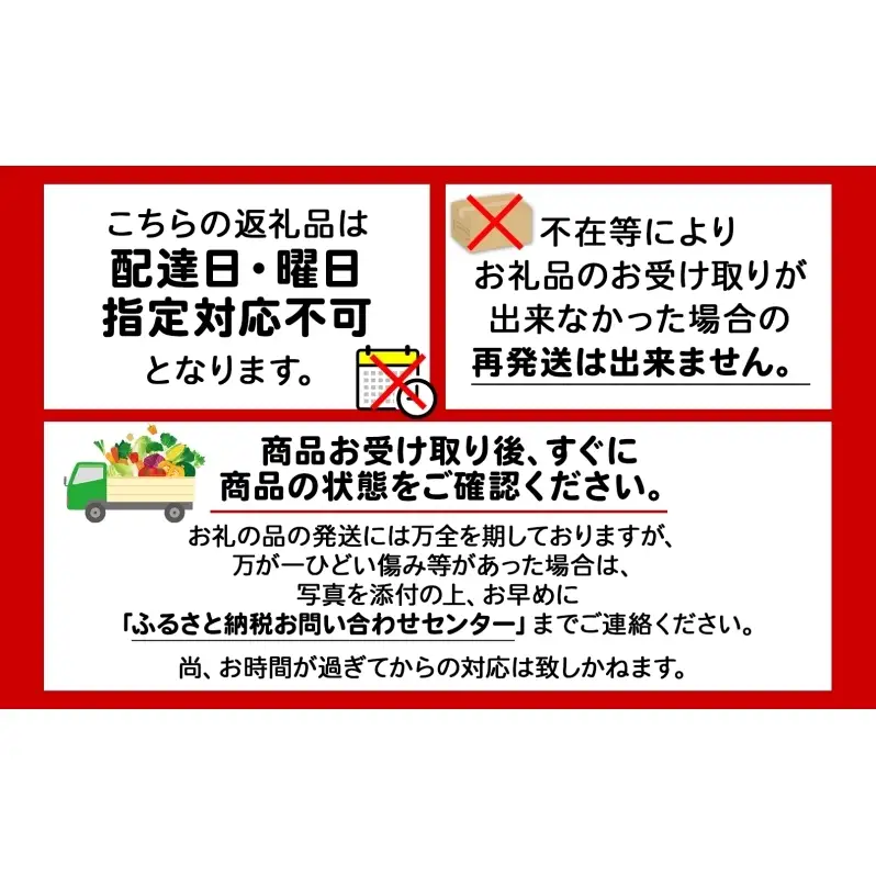 北海道 赤肉メロン 大玉 約2kg 2玉 メロン 赤肉 果物 フルーツ 甘い 完熟 スイーツ デザート 産直 国産 贈答品 お祝いギフト羊蹄山 JAようてい
