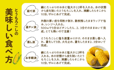 北海道 倶知安町 とうもろこし 味来 みらい 北海道 5kg 2Lサイズ 大きめ 夏野菜 とうきび 旬 新鮮 野菜 トウモロコシ ギフト 産地直送 産直 お取り寄せ 詰め合わせ 送料無料 13本 高糖度 