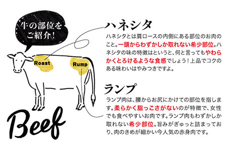 【全6回定期便】【極上 ステーキ】合計 600g (6枚入) ハネシタロース ランプ A4ランク 糸島 黒毛和牛 【糸島ミートデリ工房】[ACA170] 希少 ステーキ ランプ ロース 牛肉 赤身 国産 和牛 黒毛和牛
