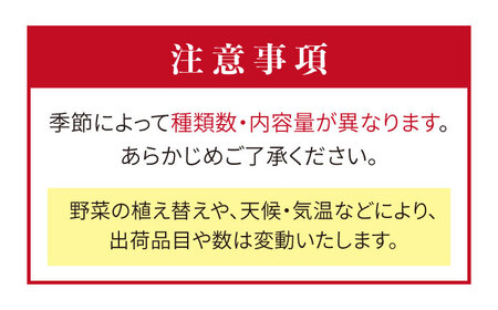 【 全6回 定期便 】 福岡県 糸島産 旬 の 野菜 盛り合わせ セット 《糸島》【株式会社フロンティア・アドバンス】 [AWC008]