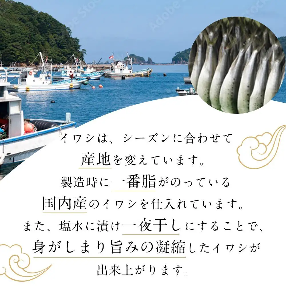 いわし明太子 10本入り 中島商店 魚 那嘉島 いわし イワシ 鰯 いわし明太 国産 明太子 明太 焼き魚 おかず ご飯のお供 おつまみ つまみ 酒のつまみ お取り寄せグルメ 冷凍 大容量 小分け 福岡県 福岡市 福岡 博多
