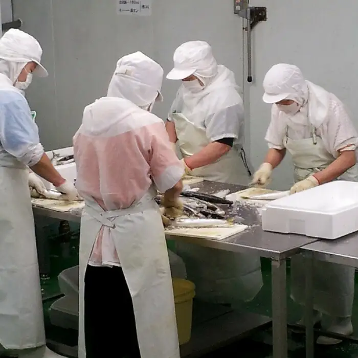 昔ながらの製法で作った干物詰合せ 福岡県 福岡市 福岡 九州 納税 返礼品 特産品 名産品 お取り寄せグルメ グルメ お取り寄せ ご当地グルメ 干物 ひもの 詰め合わせ ひもの詰め合わせ 干物詰合せ