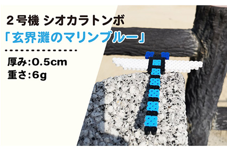二号機 ： 玄界灘 の マリンブルー シオカラトンボ 《糸島》【糸島とんぼ】 [APK003]